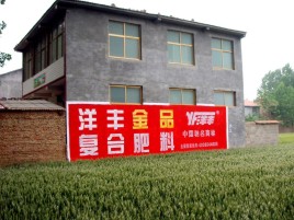  洛川如何让墙体广告展现最大化效果