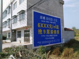  洛川墙体广告质量分析