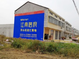  洛川农村墙体广告在不同形式上面展现的不同特色
