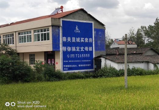 洛川决定墙体广告价格的因素有哪些?