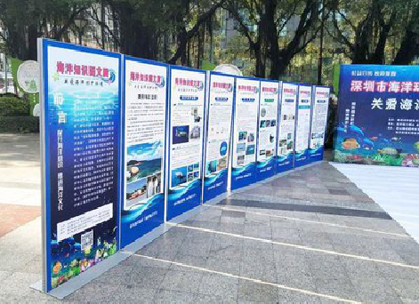  洛川KT板的种类和知识。